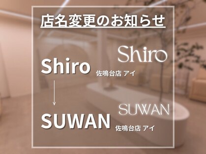 シロ(Shiro)の写真