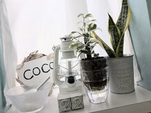 ココ(COCO)の雰囲気(お客様お一人おひとりに丁寧に向き合い施術させていただきます。)