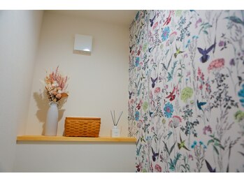 ルピナス(Lupinus.)/【店内】お手洗い