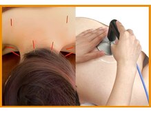 フィットジユウガオカ(Fit_Jiyugaoka)/当店人気No.1メニュー