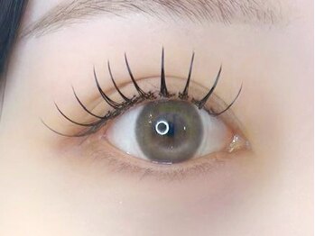 シルシェリー(cilcherie)の写真/LEDマツエク有《モテたい女性集合》可愛く綺麗な目元を叶える◎初回オフ無料！フラットラッシュ120本¥5000