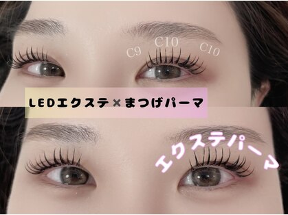 ラメル(Lameru)の写真
