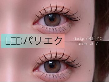 マイロ 原宿(Myro)の写真/【Myro原宿】LEDパリエクデビューに＊今っぽ束感/ナチュラル上品に★まつげパーマ×LEDマツエク60本¥9900