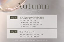 フィグ ツリー(fig tree)