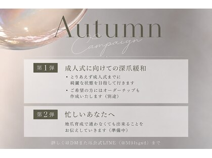 フィグ ツリー(fig tree)の写真