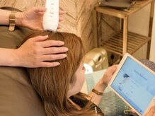 アーチ(ARCH)/【頭皮診断】