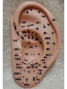 ボディーセラピー ウルル(Body Therapy. URURU)/耳つぼダイエット