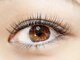 アイラッシュ バイ コンベックス(EYELASH by convex)の写真/特別価格!!【フラットラッシュ120本￥5500】平日限定クーポンあり◎都内で人気の<LDカール>もご用意あり♪
