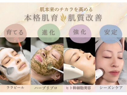 ジヒカ(ZIHICA)の写真