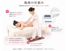 レポリア(Reporia)の雰囲気(微弱電流が筋肉の奥深くまで届き、肩こりを根本からケア。)