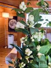 わたなべ整体院/