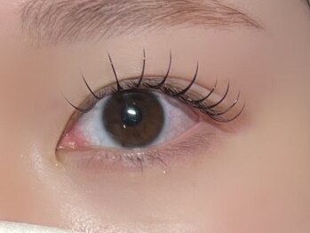 ラウ(Lau)/フラットラッシュ80本