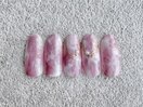 【春コレクション定額コース】