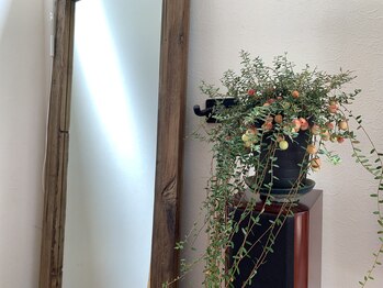 オキーフ(O'Keeffe)/