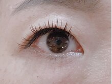 ティンク港南台 アイラッシュアンドネイル (Tink eyelash&nail)/フラットラッシュ120本