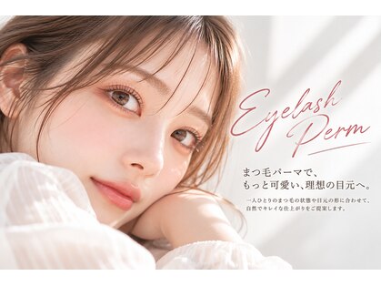 リノ(Lino)の写真