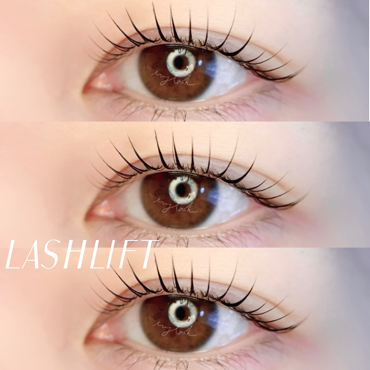 マイラッシュ 祇園店(my lash)｜ホットペッパービューティー