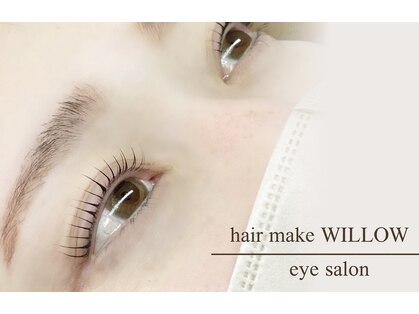ウィロウ(willow)の写真