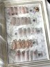 【ハンド】定額月替わりキャンペーンネイル　5500円コース