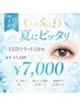 【人気No. 1】夏にピッタリ垢抜け LEDフラット120本