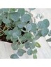 【お悩み別精油ブレンド】全身オイルトリートメント90分＋極上ヘッドスパ30分