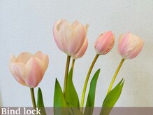 ジーナ(Gina)/バインドロック