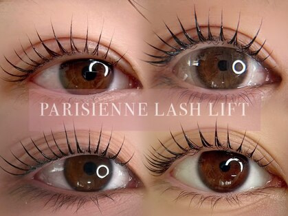 アンエルム(an elm)の写真