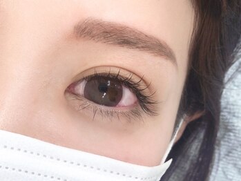 オリオン/バインドロック60束