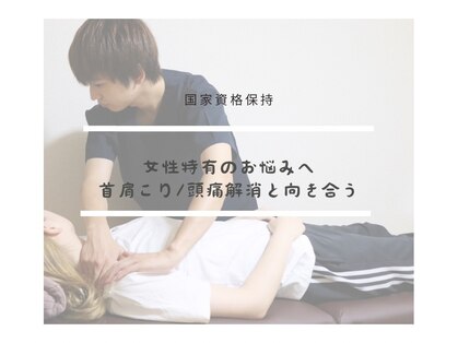 リリースの写真