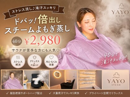 ヤヨスチーム(YAYOSTEAM)の写真