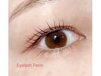 プレイド(PRADE)/まつ毛パーマ