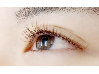 ベル(Belle)/ナチュラルブラウン