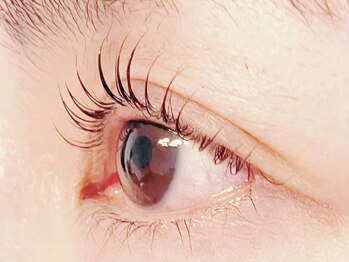 ブルーム(Bloom.)/まつげパーマ