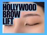 【特別特典】HBLハリウッドブロウリフト¥7500→¥7500