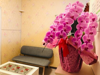 スイートメモリー(Sweet Memory)の写真