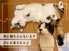 体整えながら社会貢献!! 能登半島地震復興支援への寄付付き!! PLAN B