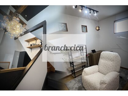 branch.cicaの写真