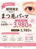 【平日限定クーポン】デザイン豊富なラッシュリフト(まつげパーマ)3980円～