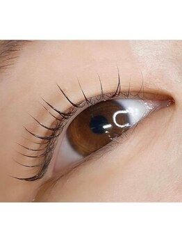 シャンティー ヒラギシ(Shanti hiragishi)/