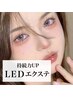【LEDパリエク】ナチュラルパリエク60本☆ワンホン,カラー変更ok