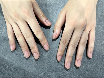 クレセント 武蔵小山(Crescent)/ワンカラー