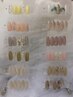 ☆ネイル特別価格☆7.8月限定シンプルコース7,000円→6000円