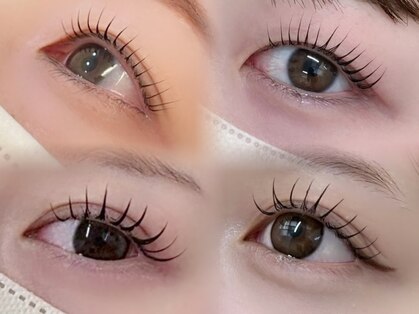 ノエ(Noae)の写真
