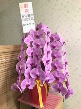 イヤシス アルプラザ敦賀店/リニューアルオープン☆