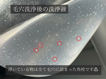 ダリア(Dahlia)/スキンケアの浸透力UP!