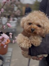 ミラ(milla.)&nbsp;buddy boocoro