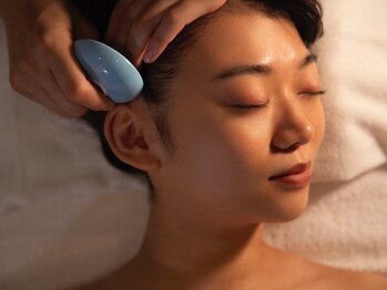 ザラハビューティー(ZARAHA Beauty)/トロイアルケ トリートメント