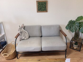 トコデモカ(toko de mocha)/店内