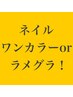 【初回他店オフ、自店オフ無料ケア込み】ワンカラー／ラメグラ　¥4800