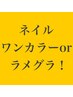 【パラジェル】ソフトジェルオフ無料ケア込み☆ワンカラー／ラメグラ　¥4800
